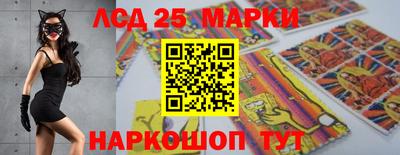 индика Лесосибирск