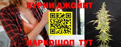 индика Лесосибирск