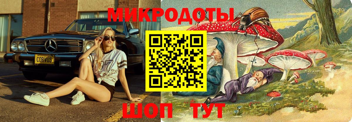 Дербент  Галлюциногенные грибы Psilocybe  где купить   Вход с VPN 