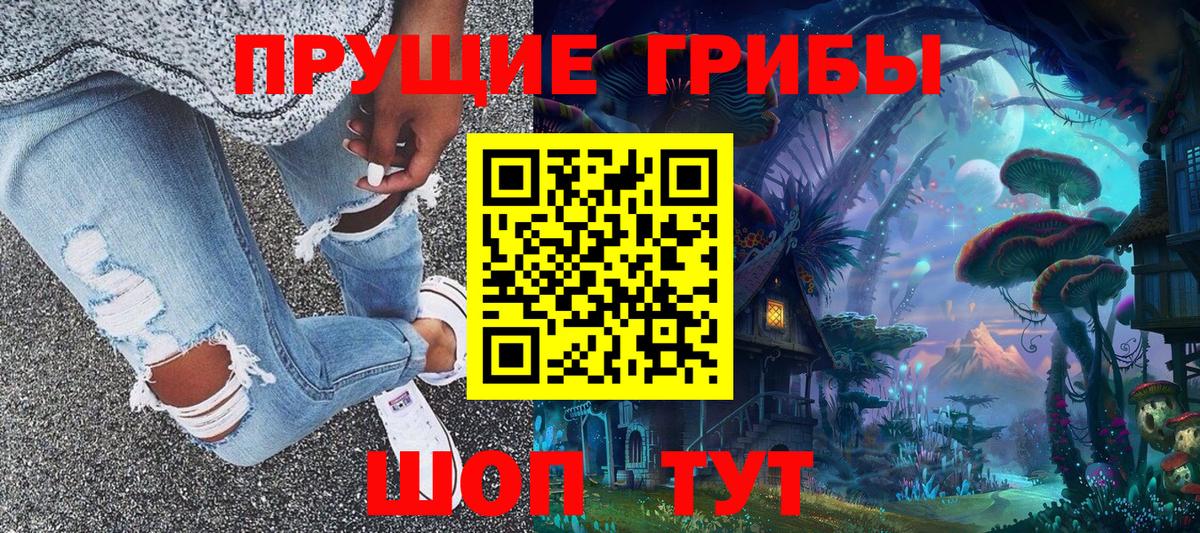 Псилоцибиновые грибы Psilocybe Дербент